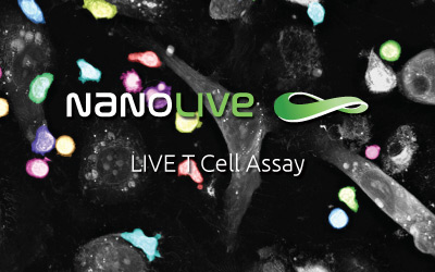 Nanolive releases the next-gen immune profiling solution, the LTCA