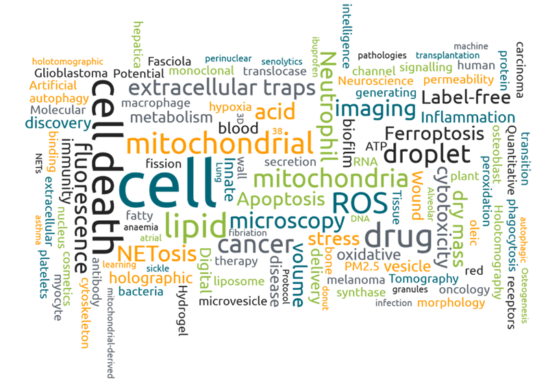 Word-cloud Word cloud
