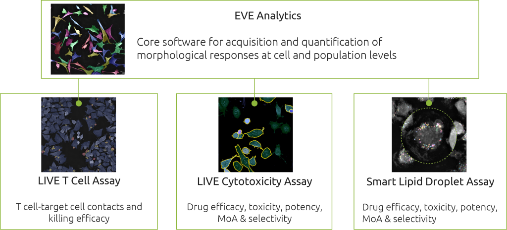 digital assays Overview of Nanolive’s suite of automated digital assays for cell analysis.