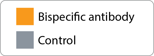 Digital staining legend 2