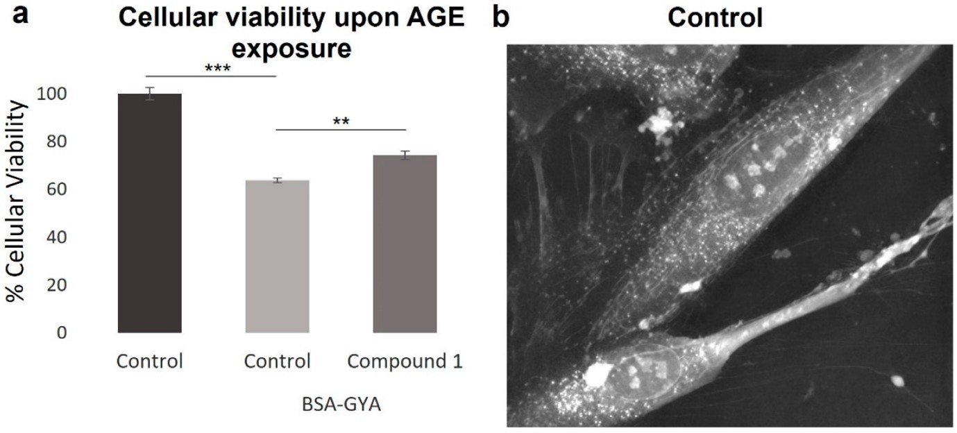 Anti-glycation and wound healing effects of compound 1