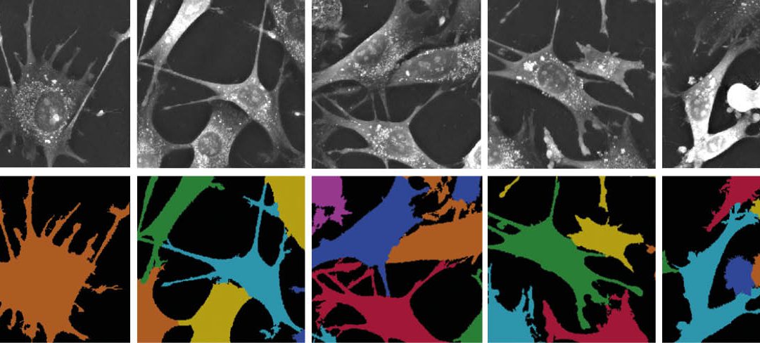 EVE Analytics for the 3D Cell Explorer-fluo