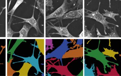 EVE Analytics for the 3D Cell Explorer-fluo