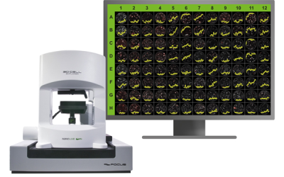 Webinar – High content in vitro imaging for translational success: targeted therapies