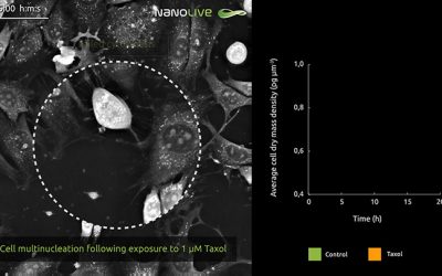 It’s a mitotic catastrophe! Nanolive imaging captures spectacular multinucleation in real time after exposure to Taxol
