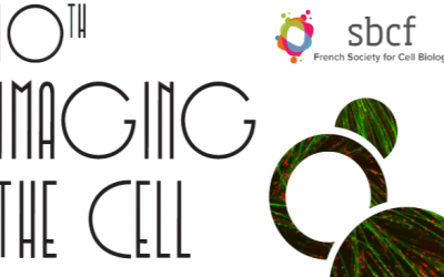 Nanolive at “10th Imaging the Cell” conference in Lyon, France this November 4-6