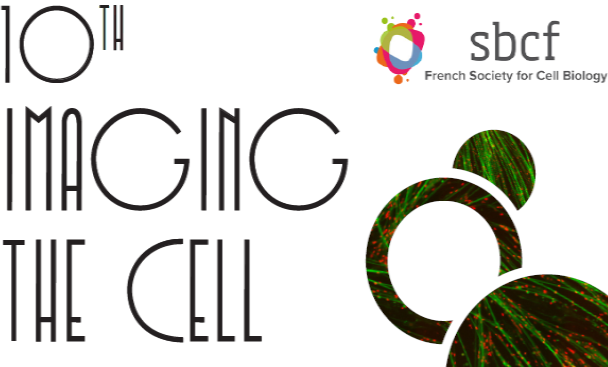 Nanolive at “10th Imaging the Cell” conference in Lyon, France this November 4-6