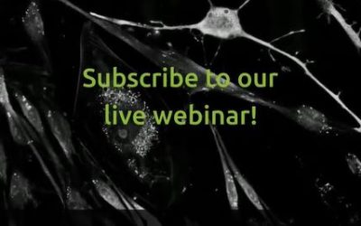 New webinar: Characterization of Stem cell differentiation dynamics with label-free live cell imaging