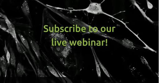 New webinar: Characterization of Stem cell differentiation dynamics with label-free live cell imaging